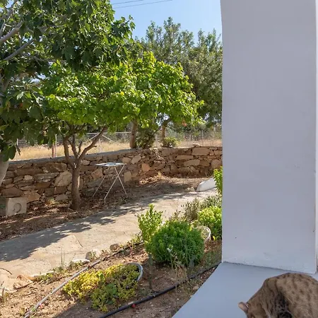 شقة Blue Violet دريوس