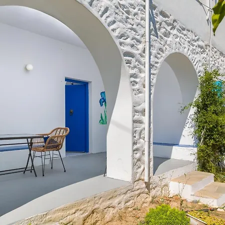 Blue Violet دريوس