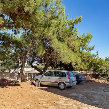 Blue Violet دريوس