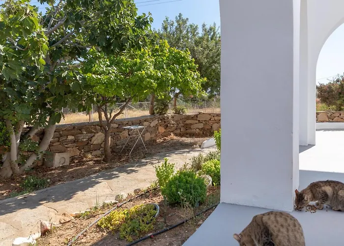 شقة Blue Violet دريوس